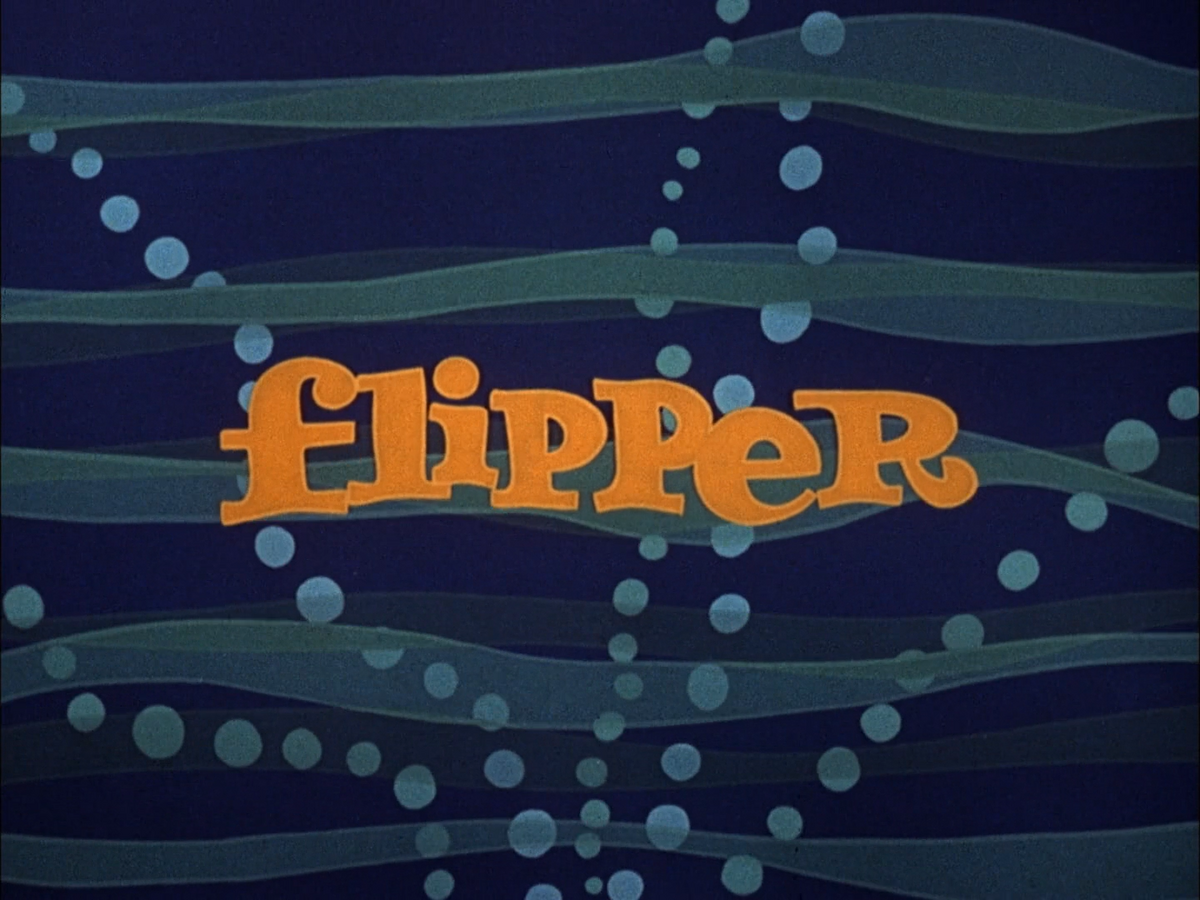 Flipper (1964) | YTV Schedule Archives Wiki | Fandom