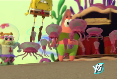November 13 2021 YTV Schedule Archives Wiki Fandom