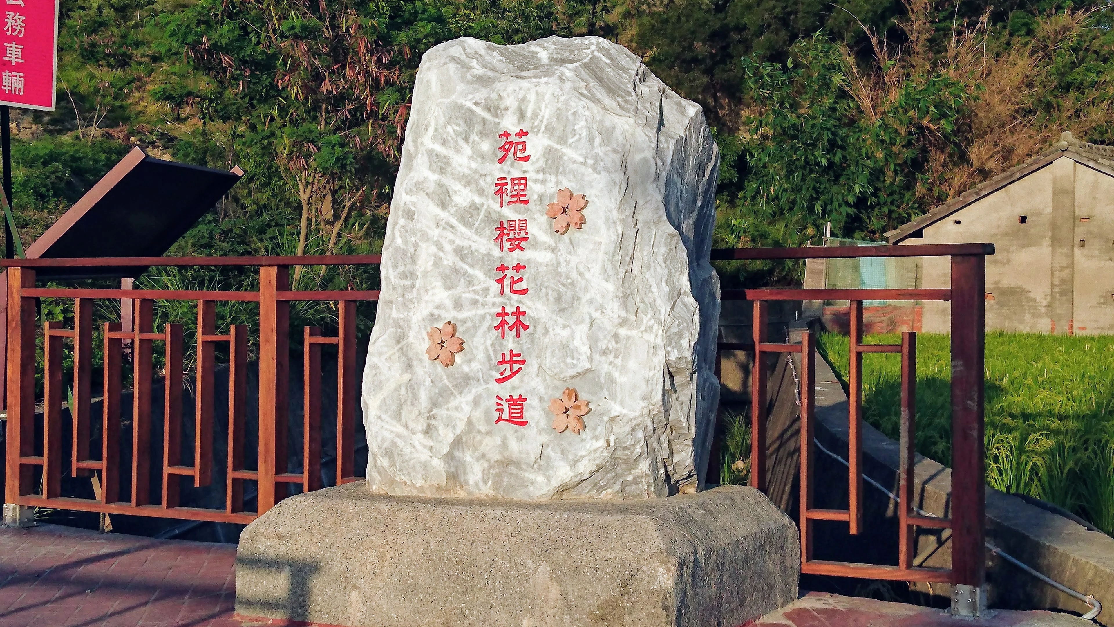 苑裡櫻花林步道 苑裡全百科 Fandom
