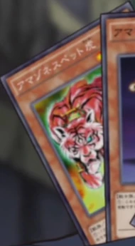 Amazoness Pet Tiger | Yu-Gi-Oh! ARC-V Wiki | Fandom