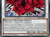 Dragon Rose Noire