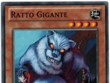 Ratto Gigante