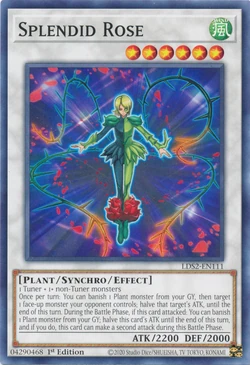 Card Gallery:Splendid Rose | Yu-Gi-Oh! Wiki | Fandom