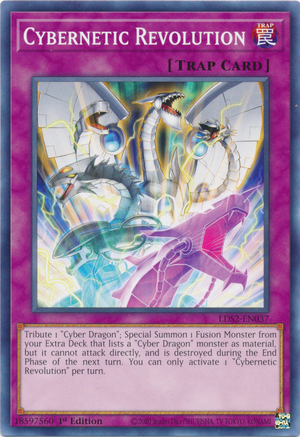 CyberneticRevolution-LDS2-EN-C-1E.png