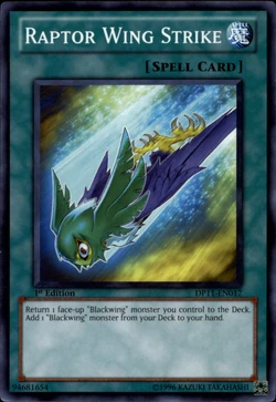 yugioh duelist pack crow card list Amazon.com: YuGiOh 5D's Duelist Pack Crow Single Card Blackwing