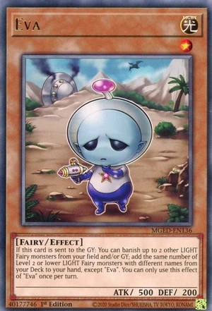 Eva-MGED-EN-R-1E