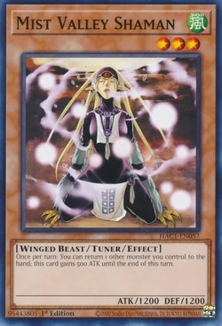 Card Gallery:Mist Valley Shaman | Yu-Gi-Oh! Wiki | Fandom Card Gallery:Mist Valley Shaman | Yu-Gi-Oh! Wiki | Fandom