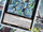 OddEyes Absolute Dragon SDMP.png