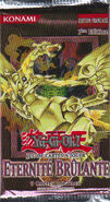 Flaming Eternity | Yu-Gi-Oh! Wiki | Fandom