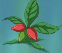 SinisterSeedToken-JP-Anime-GX-NC