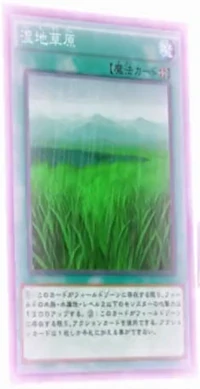 yugioh wetlands deck Yu-Gi-Oh! - Wetlands (LODT-EN054) - Light of Destruction - Unlimited  Edition main image 0