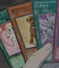 OutstandingDogMarron-JP-Anime-GX