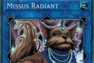 遊戯王 World Championship 2010 Card Pack 2 Yu-Gi-Oh 5D's World