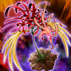 PhoenixianClusterAmaryllis-TF04-JP-VG.png