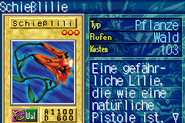 #489 "Barrel Lily" Schießlilie