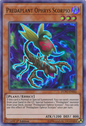 PredaplantOphrysScorpio-DUPO-EN-UR-1E.png