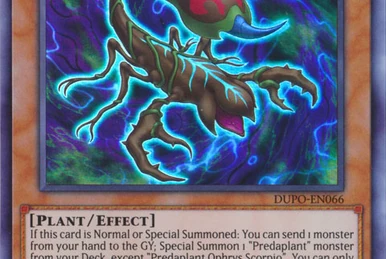 Adventurer Token (series) | Yu-Gi-Oh! Wiki | Fandom