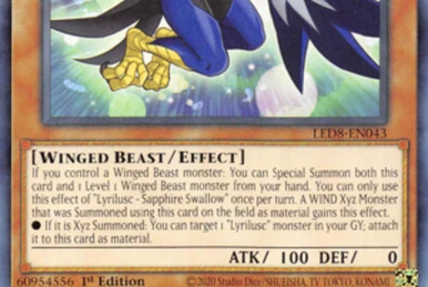 yugioh dragon link deck Rokket Dragon Link DECK CORE Tracer Quick Launch Striker Borrelshroud Yugioh