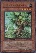King of the Swamp DT08-JP005 | Pulse of the Trishula!!