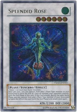 Card Gallery:Splendid Rose | Yu-Gi-Oh! Wiki | Fandom
