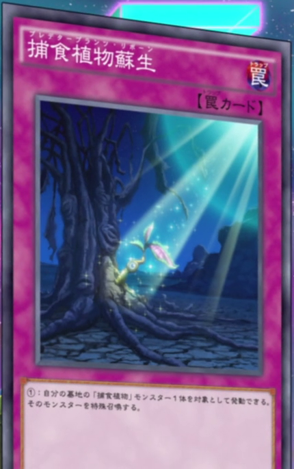 捕食植物 プレデタープランツ デッキ 遊戯王 Predaplant deck 遊戯王 捕食植物デッキ プレデタープランツの通販 purefuto002