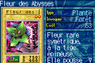 #579 "Abyss Flower" Fleur des Abysses