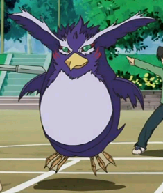 Card Gallery:Flying Penguin | Yu-Gi-Oh! Wiki | Fandom