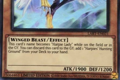 Harpie Girl | Yu-Gi-Oh! Wiki | Fandom Harpie Girl | Yu-Gi-Oh! Wiki | Fandom