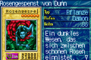 #594 "Rose Spectre of Dunn" Rosengespenst von Dunn