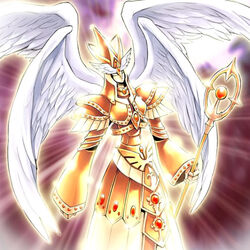 splendid vinus 英語 シークレット 3枚 splendid vinus 英語 シークレット 3枚