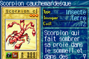 #116 "Nightmare Scorpion" Scorpion cauchemardesque