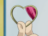 Heart Piece