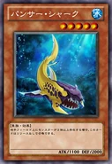Panther Shark