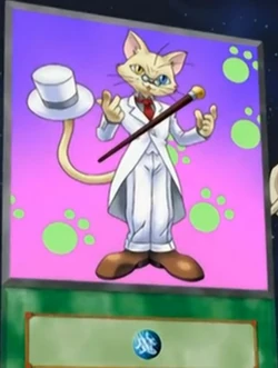 Card Gallery:Schrödinger's Cat | Yu-Gi-Oh! Wiki | Fandom