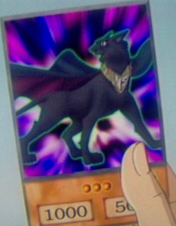 Card Gallery:Neo-Spacian Dark Panther | Yu-Gi-Oh! Wiki | Fandom
