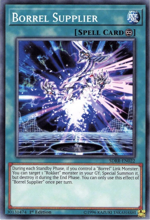 BorrelSupplier-SDRR-EN-C-1E.png