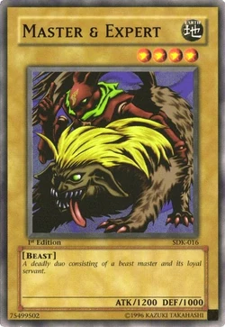 Card Gallery:Master & Expert | Yu-Gi-Oh! Wiki | Fandom