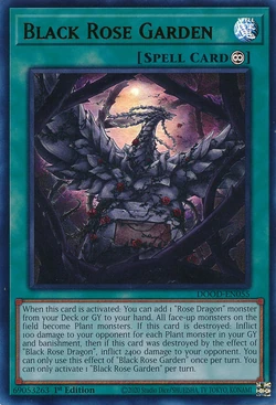 Card Gallery:Black Rose Garden | Yu-Gi-Oh! Wiki | Fandom