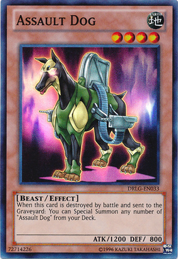 D/D Dog, Yu-Gi-Oh! Wiki