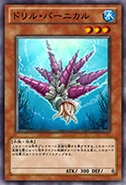 Drill Barnacle