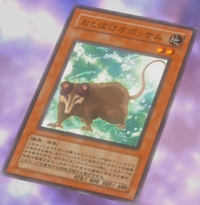 Playful Possum (anime) | Yu-Gi-Oh! Wiki | Fandom