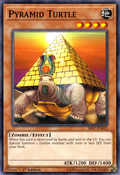 SR07-EN015 (C) "Pyramid Turtle"