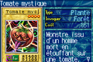 #227 "Mystic Tomato" Tomate mystique