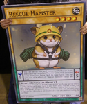 Rescue Hamster Milan 2014 (Sunday)[131]