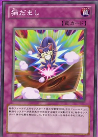 Cat Confusion | Yu-Gi-Oh! Wiki | Fandom