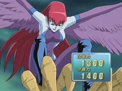 Card Appearances:Harpie Lady | Yu-Gi-Oh! Wiki | Fandom Card Appearances:Harpie Lady | Yu-Gi-Oh! Wiki | Fandom