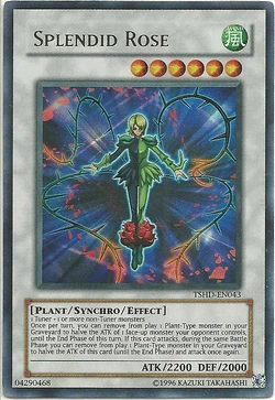 Card Gallery:Splendid Rose | Yu-Gi-Oh! Wiki | Fandom
