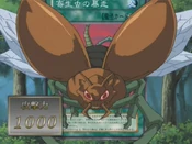 Card Gallery:Insect Soldiers of the Sky | Yu-Gi-Oh! Wiki | Fandom