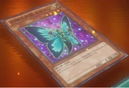 Blue Mountain Butterspy