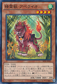 SpiritualBeastApelio-SPTR-JP-C